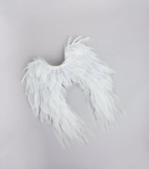 Heaven Sent Angel Wings